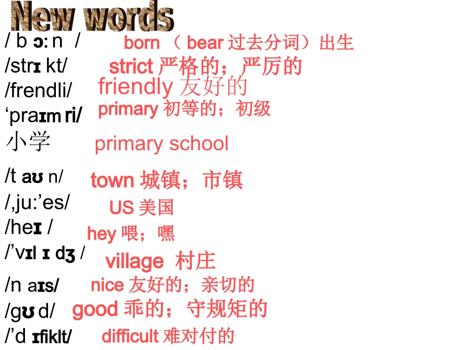 2013年七英下Module7_Unit_1_I_was_born_in_a_small_village_第3页