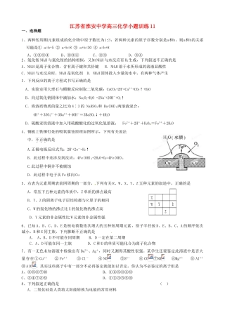 江苏省淮安中学高三化学小题训练11