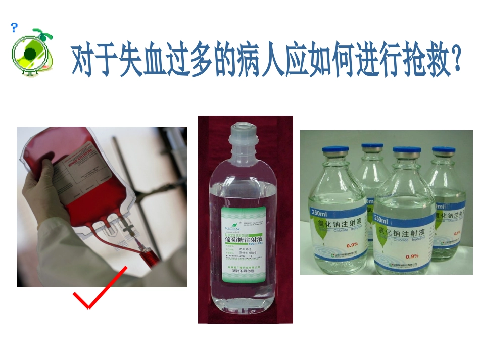 流动的组织-血液_第2页