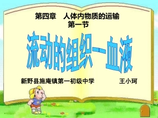 流动的组织-血液