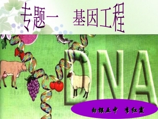 选修三11《DNA重组技术的基本工具》
