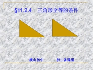 三角形全等的条件直角三角形