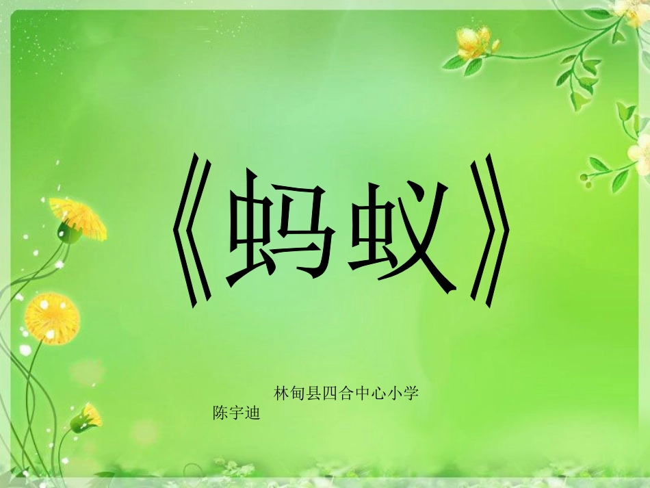 说课课件蚂蚁_第1页