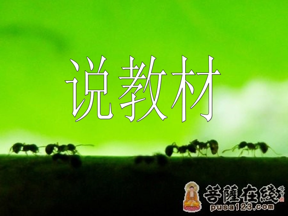 说课课件蚂蚁_第3页