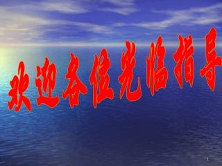 平面直角坐标系中的图形面积(定稿)