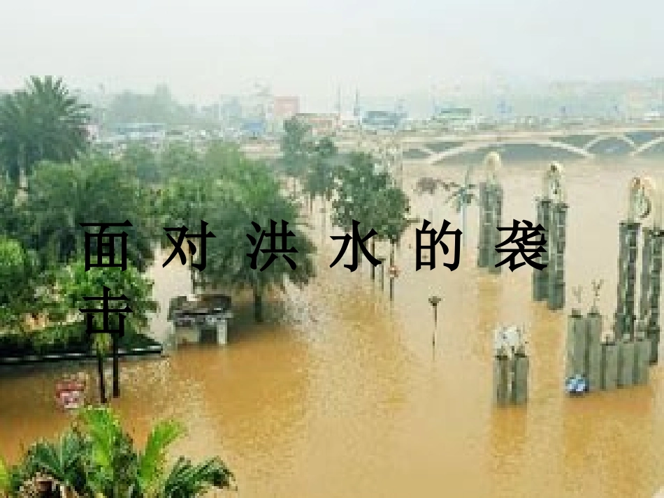 面对洪水的袭击_第1页