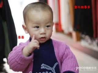 我和祖父的园子