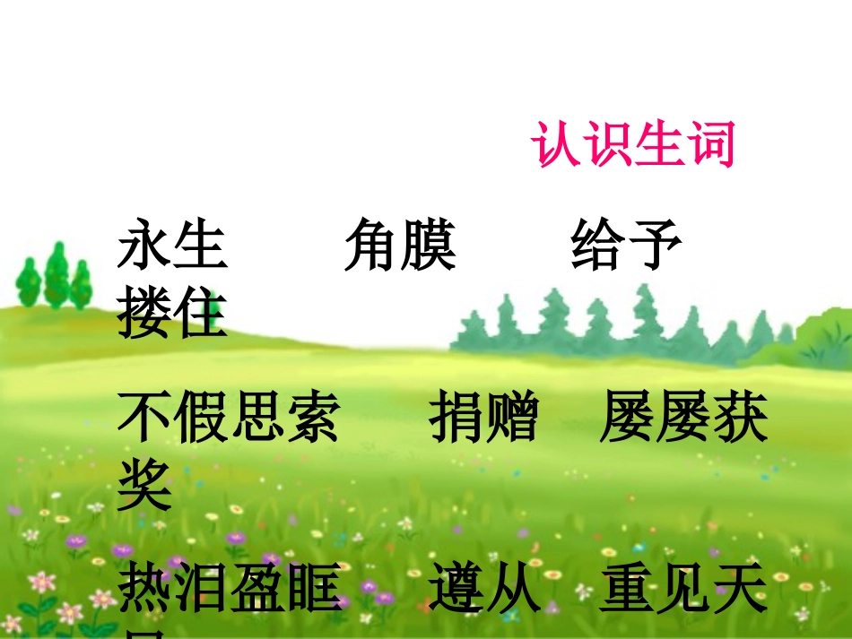 永生的眼睛课件 (2)_第3页