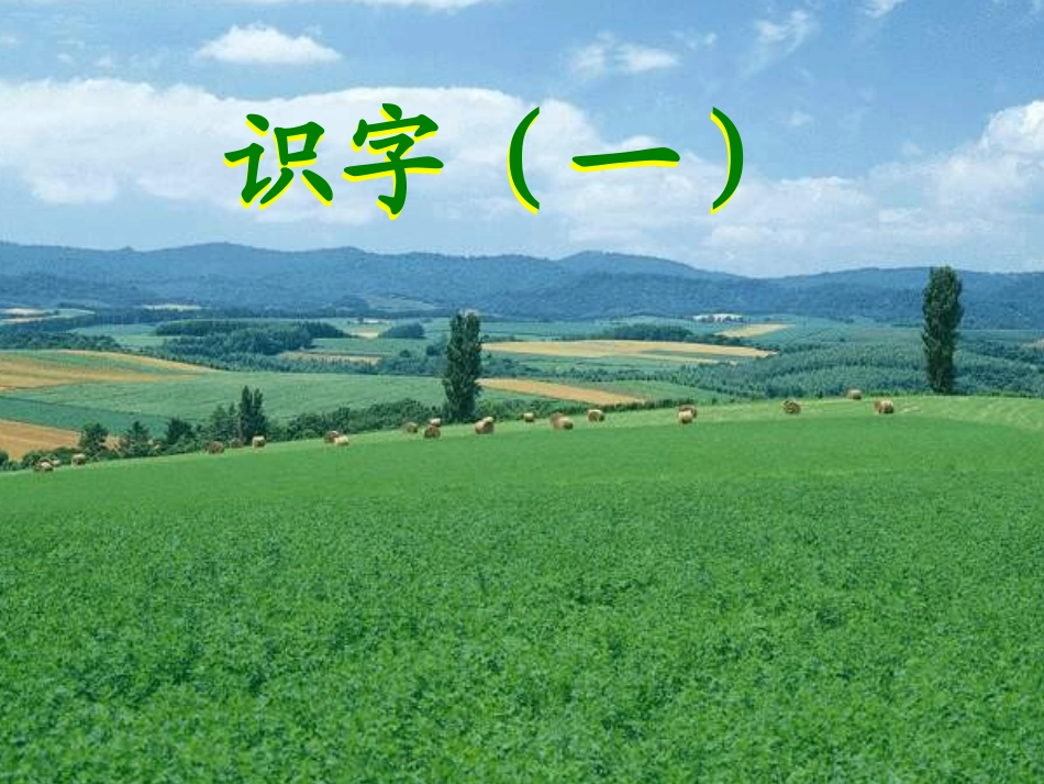 识字(一) (2)_第1页