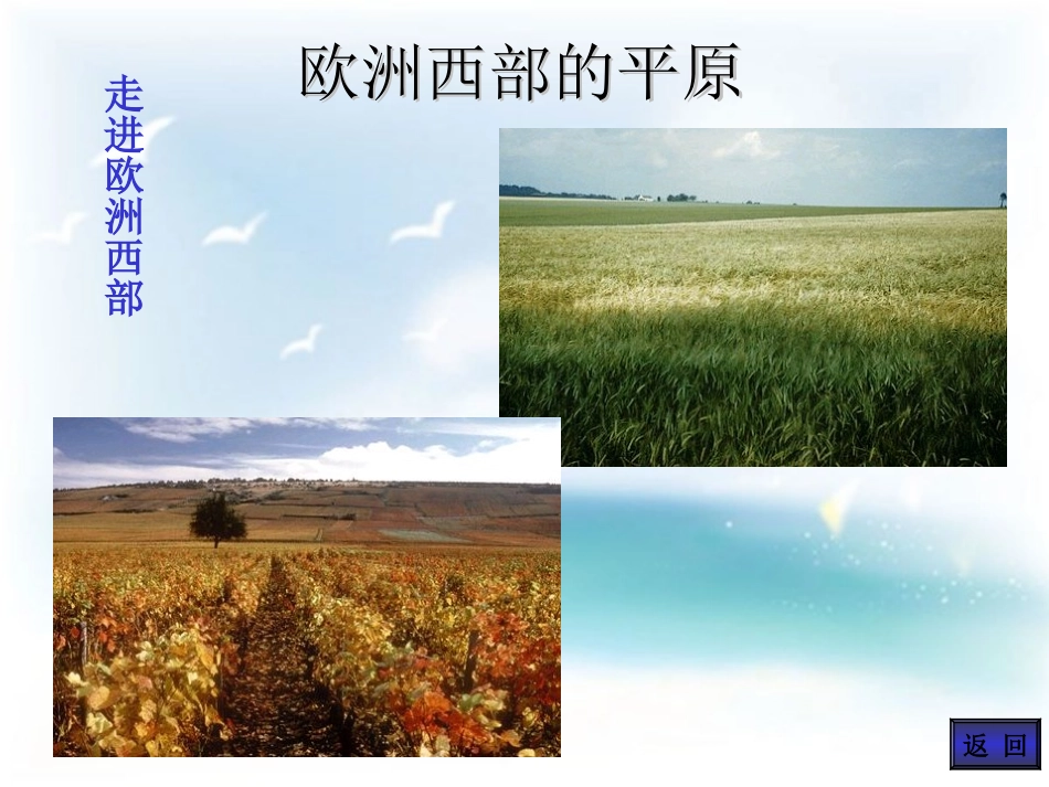 欧洲西部课件_第2页