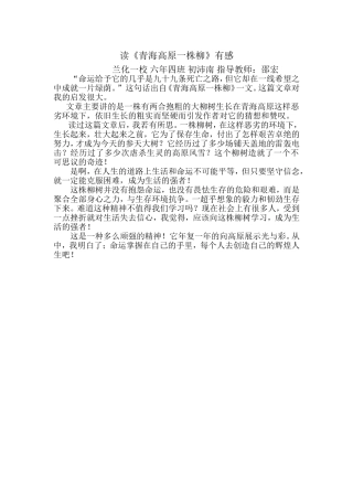 初沛南读青海高原一株柳