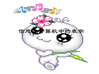 信息在计算机中的表示