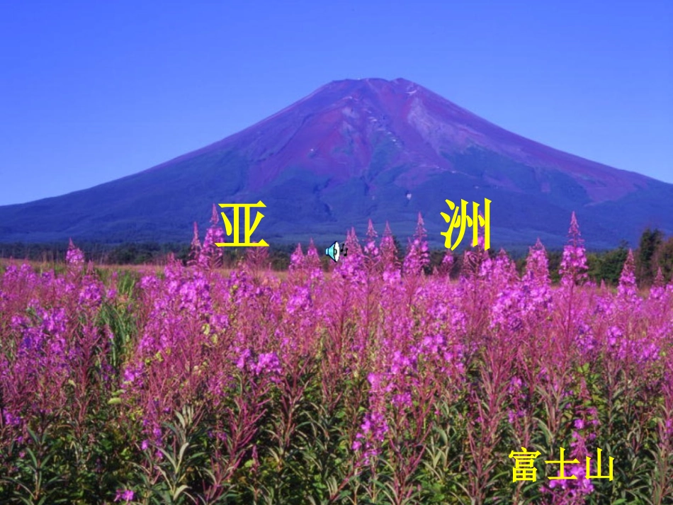 认识大洲复习课件（28张）_第1页