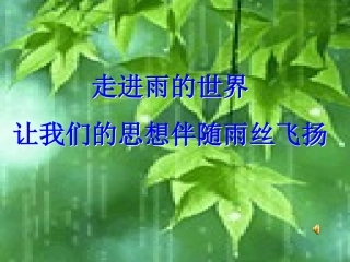 听听那冷雨最好的