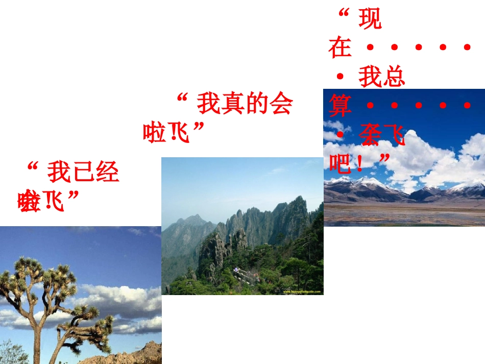 小鹰学飞 (2)_第3页