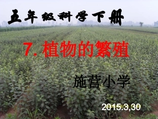 鄂教版小学科学五年级下册《植物的繁殖》课件