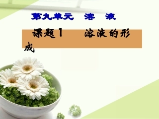 课题1_溶液的形成课件[1]2