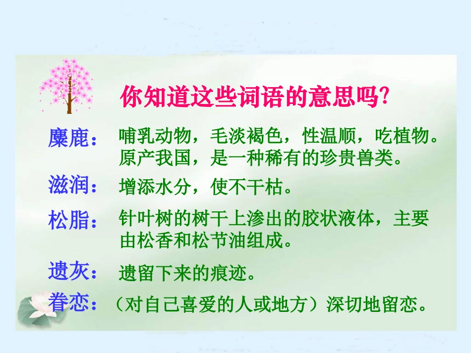 这片土地是圣神的_第3页