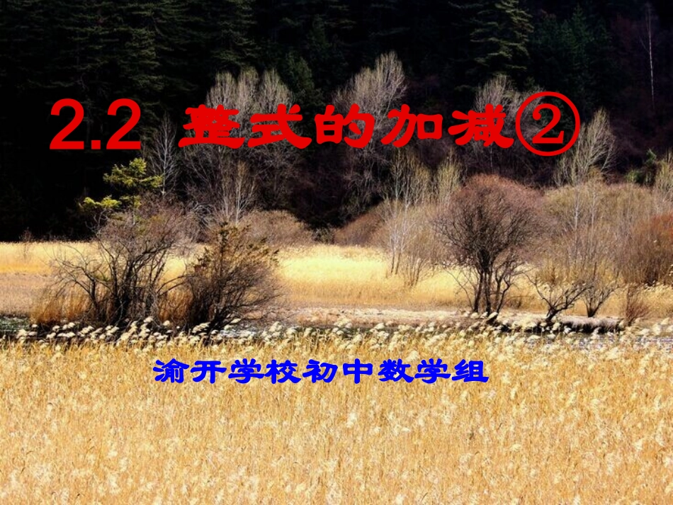 整式的加减(4)_第1页
