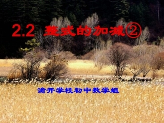 整式的加减(4)