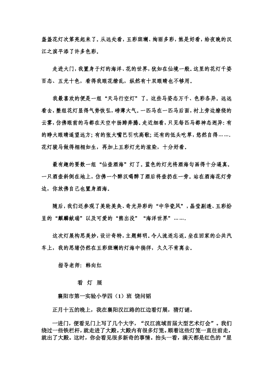 学生习作赏花灯_第3页