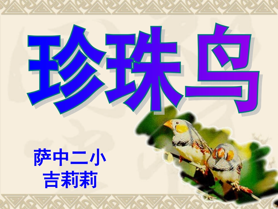 珍珠鸟 (3)_第1页