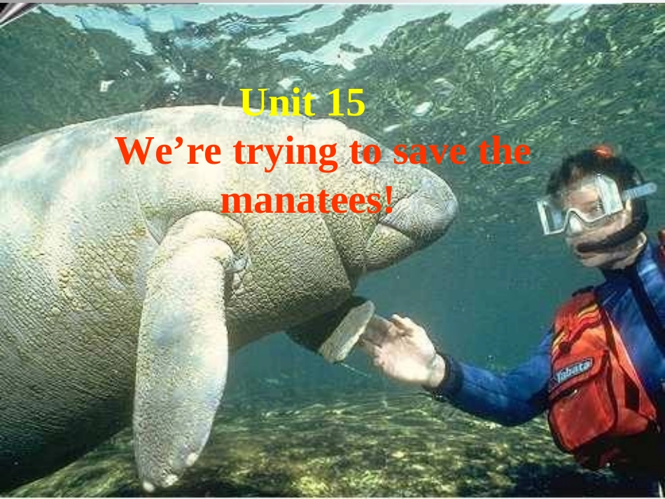 湖南省湘潭县易俗河镇三中李路波第十期中英作业_第2页