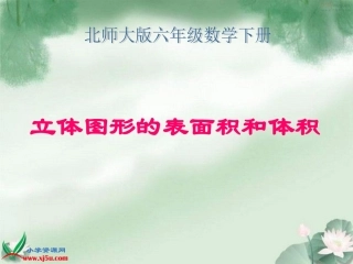 《立体图形的表面积和体积》课件