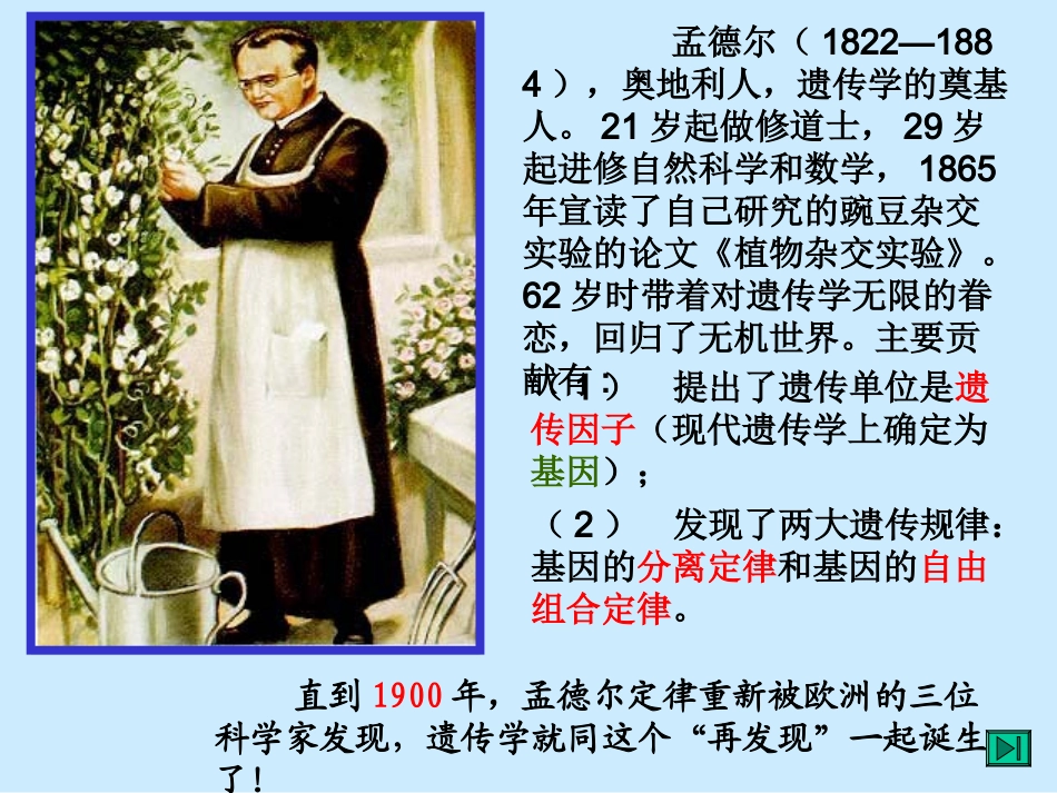孟德尔的豌豆杂交实验(一)_第2页