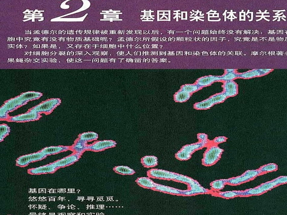 伴性遗传课件_第1页