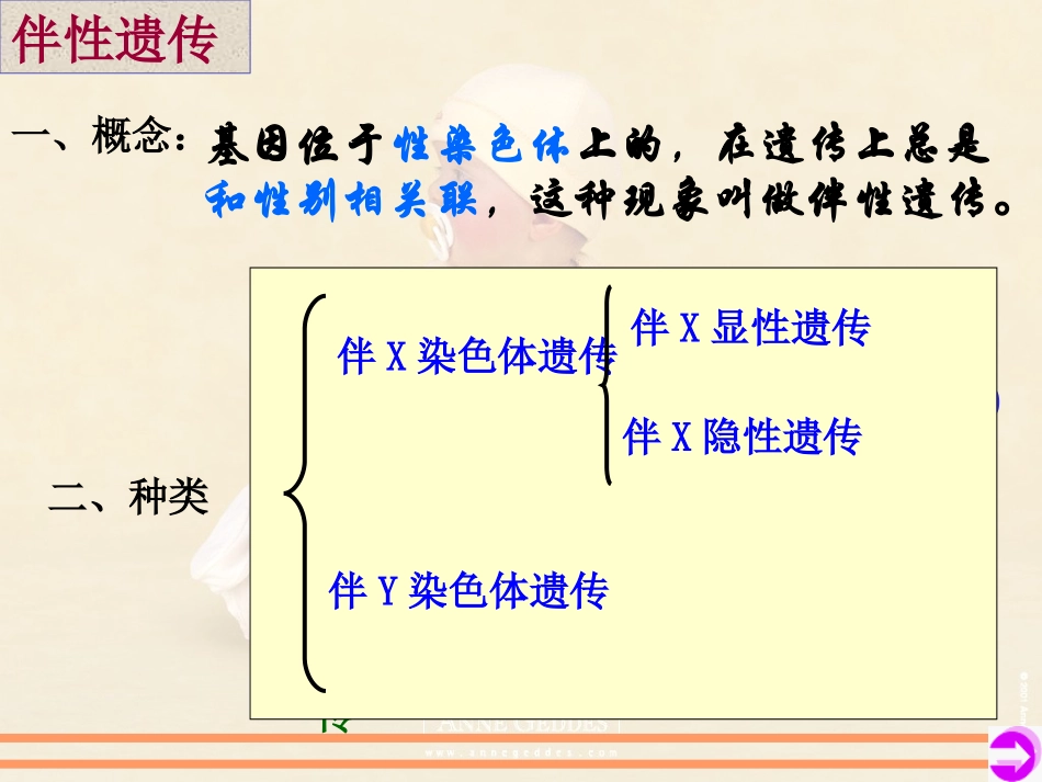 伴性遗传课件_第2页