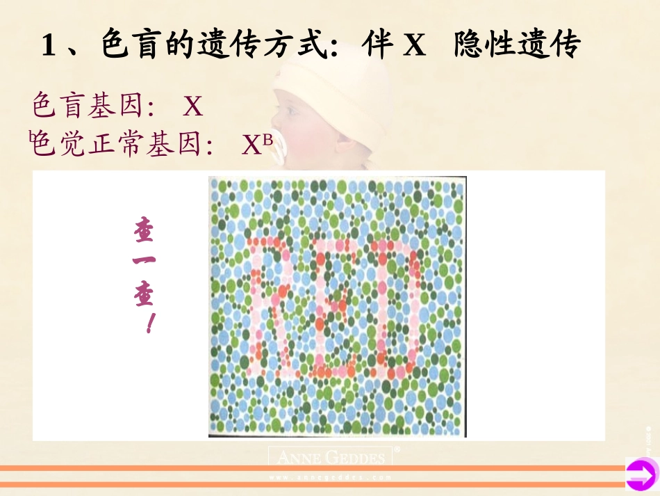 伴性遗传课件_第3页