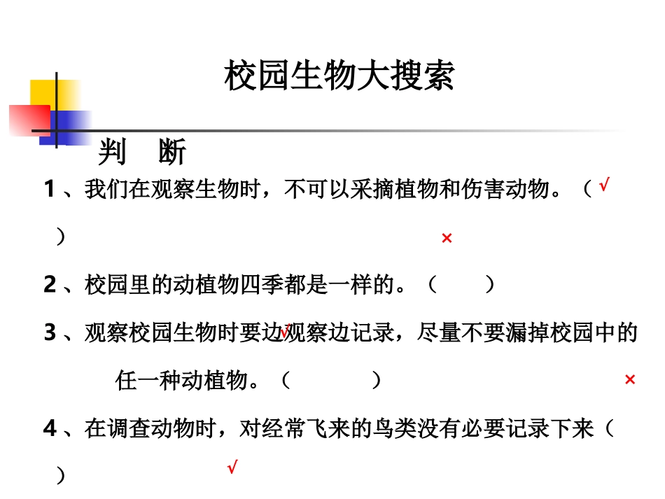 教科版小学科学六年级上册第三单元《能量与太阳》课件_第3页