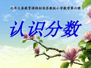 一个数的几分之一是多少