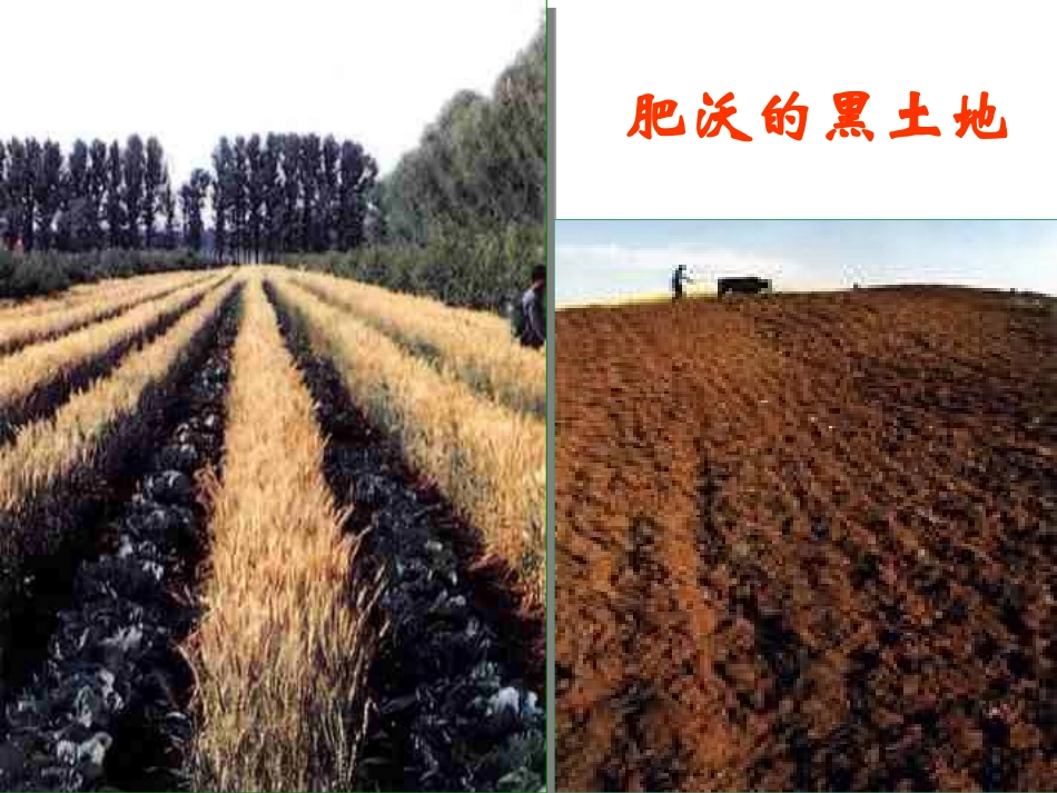 七年级下册《土地的誓言》_第3页