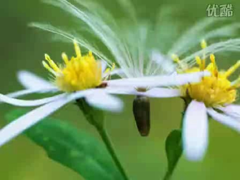 触摸春天2用_第2页