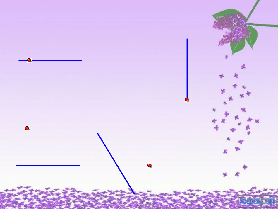 画垂线和平行线_第3页