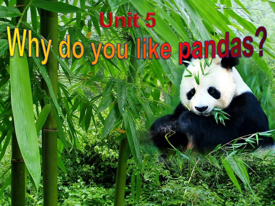 口语作业3（动物）_第1页