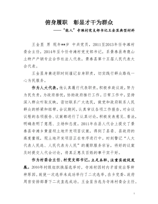 能人（王金显）典型材料