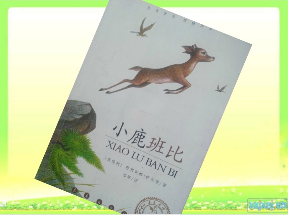 《小鹿斑比》推荐课_第3页