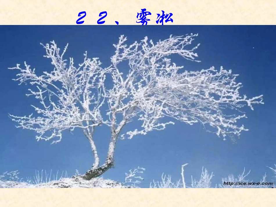 雾淞课件（苏教版四年级语文课件）_第1页