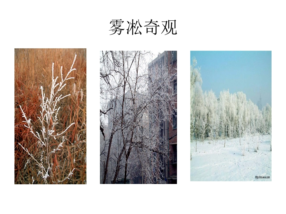 雾淞课件（苏教版四年级语文课件）_第2页