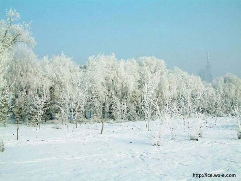 雾淞课件（苏教版四年级语文课件）_第3页