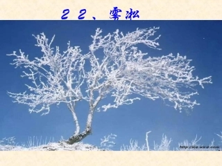 雾淞课件（苏教版四年级语文课件）