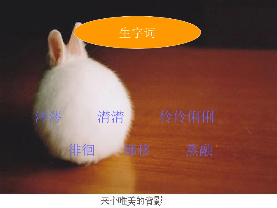 朱自清的《匆匆》课件免费下载_第2页
