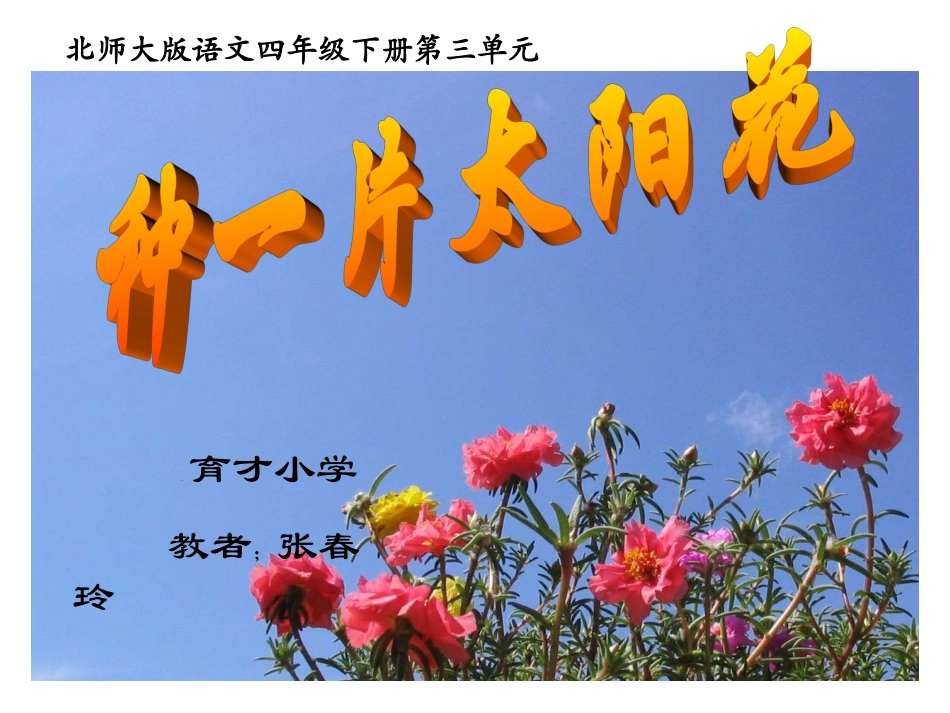 《种一片太阳花_》PPT课件 (2)_第1页