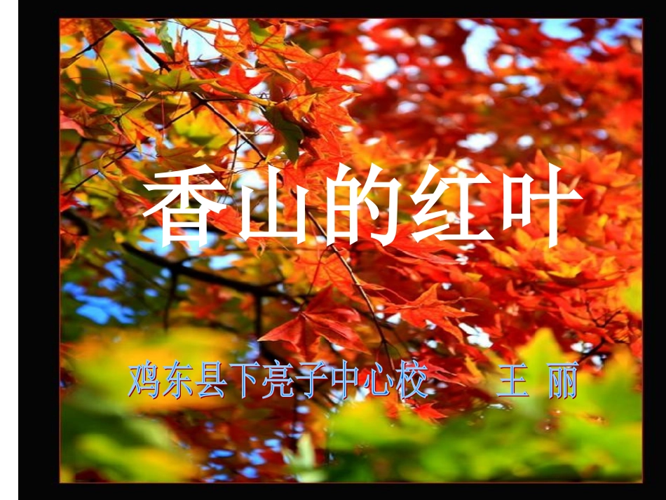 香山的红叶k课件王丽_第1页