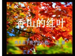 香山的红叶k课件王丽