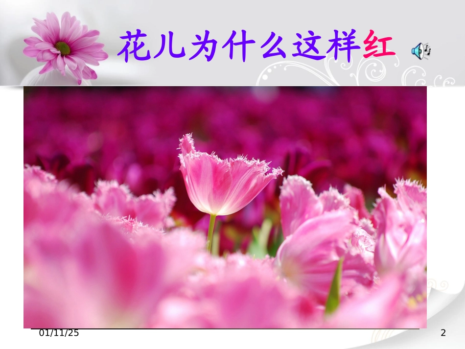 语文版八年级上册17《花儿为什么这样红》第一课时PPT_第2页