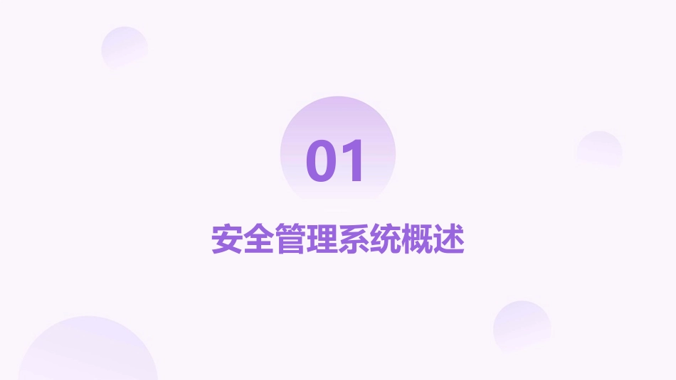 2024大型企业安全管理系统培训课件_第3页